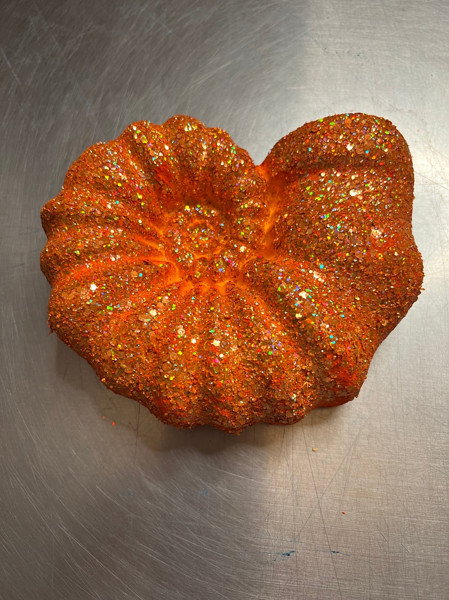 Large Swirl Seashell - Various Colors