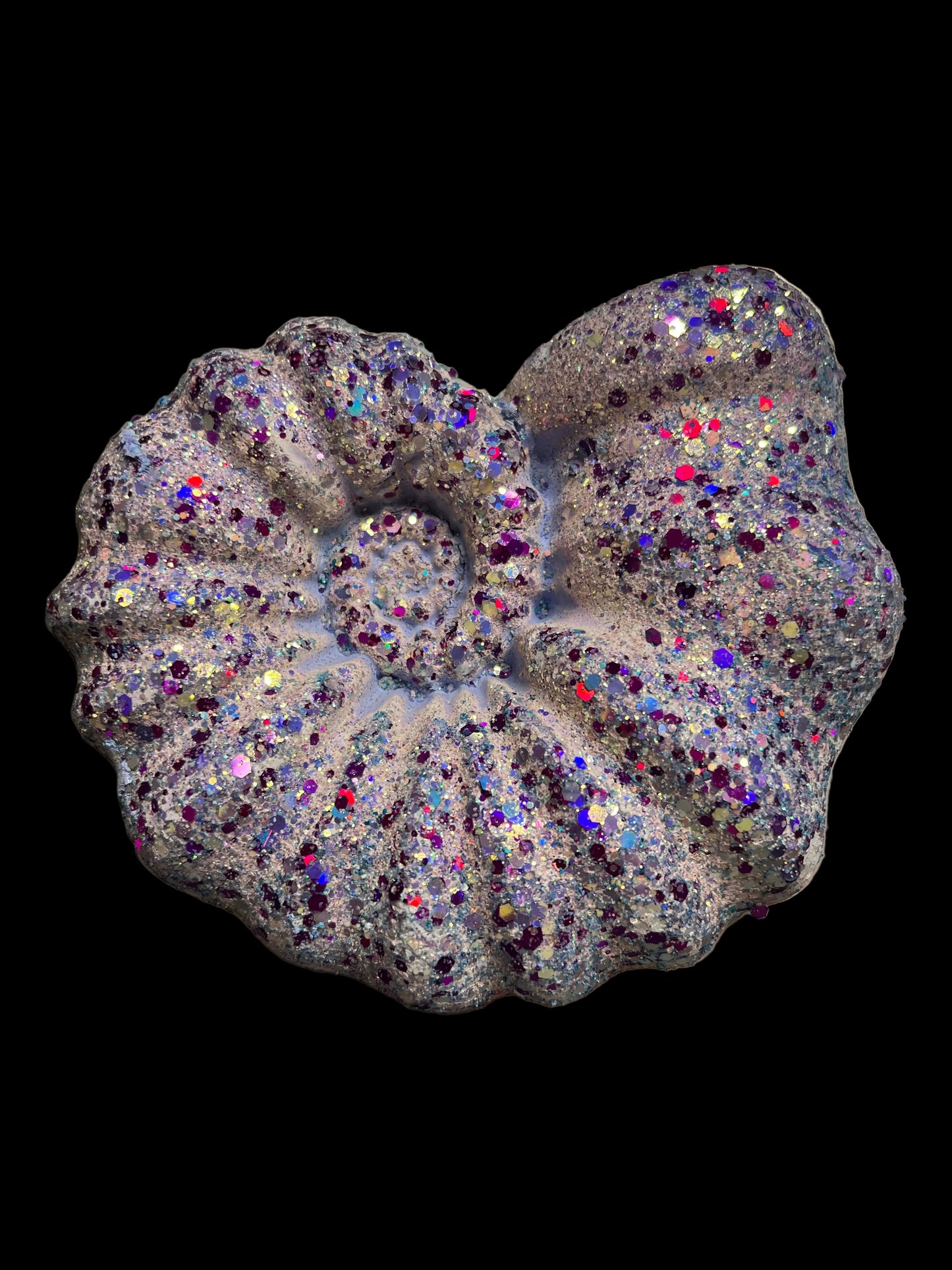 Large Swirl Seashell - Various Colors