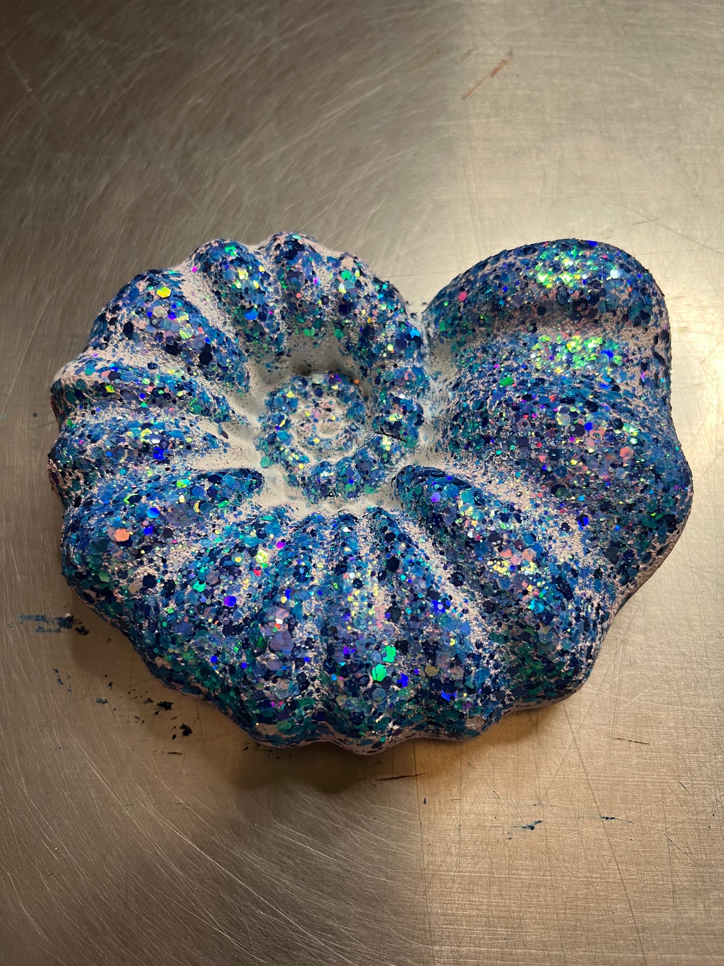 Large Swirl Seashell - Various Colors