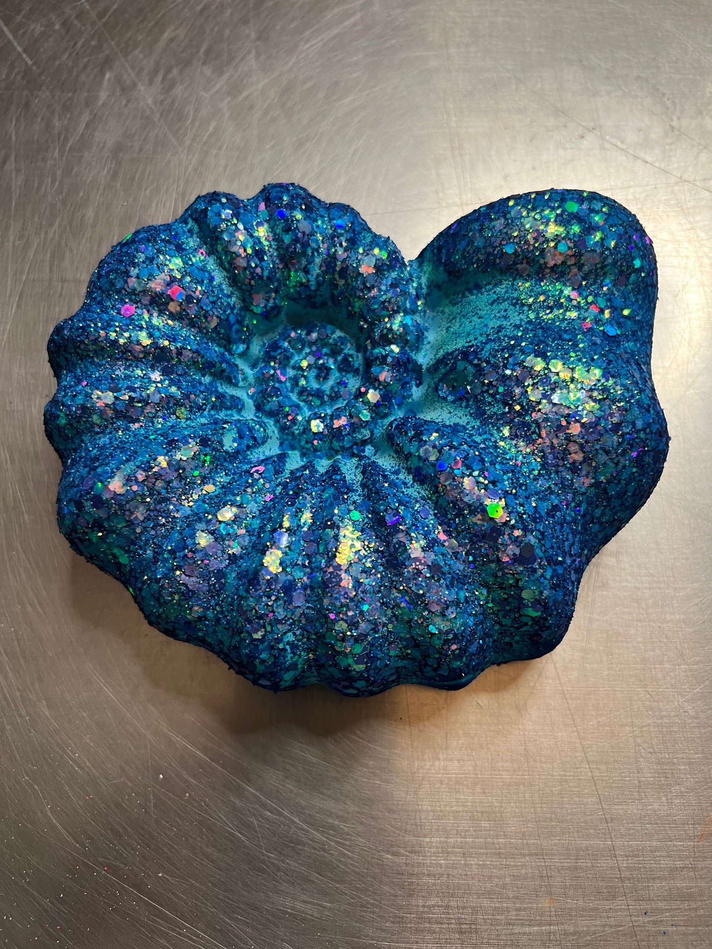 Large Swirl Seashell - Various Colors